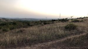 Land for sale Miritini Mombasa