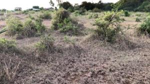 Land for sale Miritini Mombasa