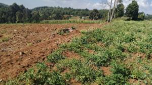 Land for sale Ol Joro Orok Nyandarua