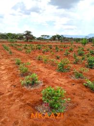 Land for sale Taveta Taita-Taveta