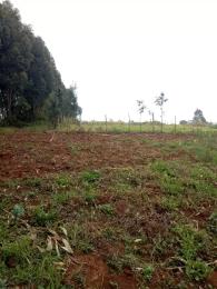 Land for sale Tigoni Limuru
