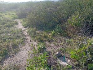 Land for sale Kinanie Machakos