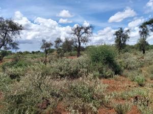 Land for sale Kimana Kajiado