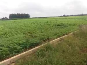 Land for sale Kitisuru Nairobi