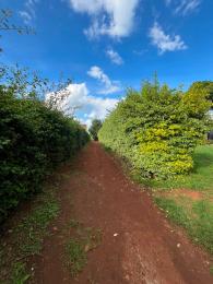 Land for sale Kitisuru Nairobi