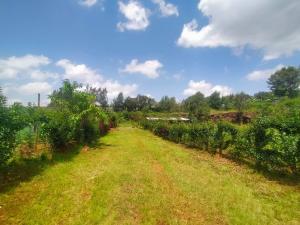 Land for sale Kerarapon Nairobi