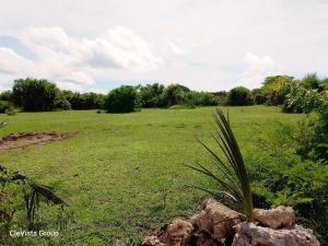 Land for sale Lunga Lunga Kwale