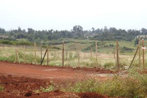 Land for sale Ruiru Kiambu