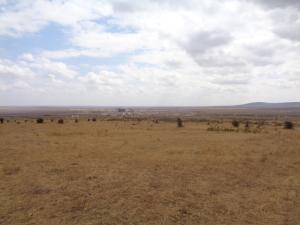 Land for sale Konza Machakos