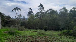 Land for sale Ngong Kajiado