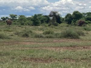 Land for sale Kimana Kajiado