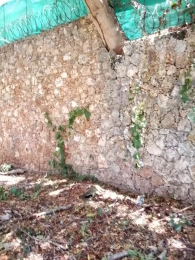 Land for sale Shanzu Mombasa