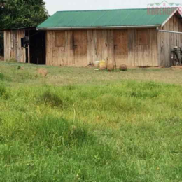 Land for sale Nanyuki Nanyuki