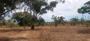Land for sale Malindi Kilifi