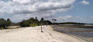 Land for sale Lamu East Lamu