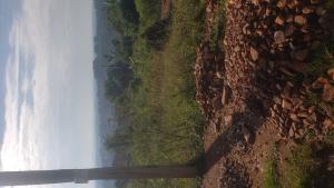 Land for sale Kira Wakiso Central
