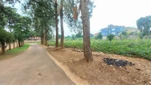 Land for sale Munyonyo  Kampala Central Kampala Central