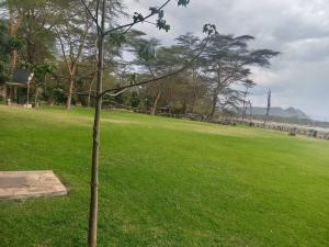 Land for sale Gilgil Nakuru