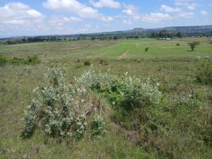 Land for sale Nyandarua Nyandarua