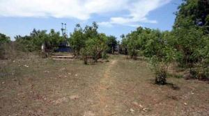 Land for sale Kikambala Kilifi