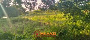 Land for sale Malindi Kilifi