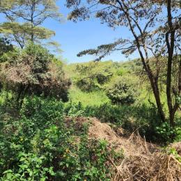 Land for sale Karen Nairobi