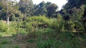 Land for sale Karen Nairobi