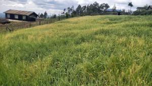Land for sale Kipipiri Nyandarua