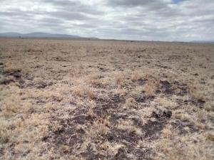 Land for sale Konza Machakos