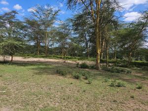 Land for sale Gilgil Nakuru