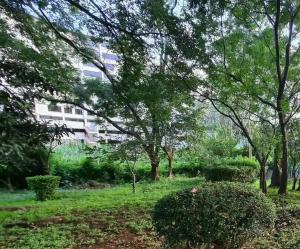 Land for sale Westlands Nairobi