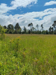 Land for sale Nyeri Nyeri