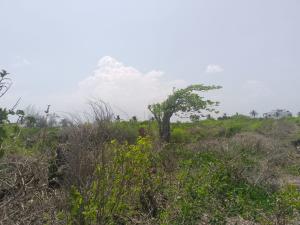 Land for sale Kilifi North Kilifi