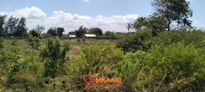 Land for sale Malindi Kilifi