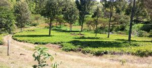 Land for sale Redhill-Kentmere rd, Redhill Nairobi