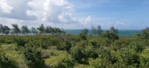 Land for sale Watamu Watamu