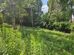 Land for sale Ngong Kajiado