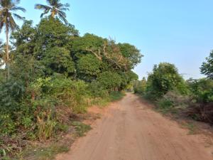 Land for sale Watamu Watamu