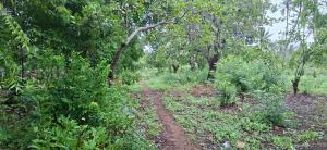 Land for sale Watamu Watamu