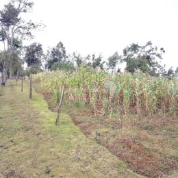 Land for sale Kinangop Nyandarua