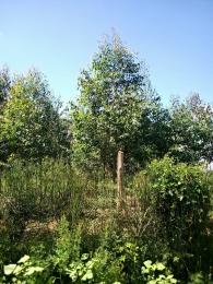 Land for sale Meru Meru