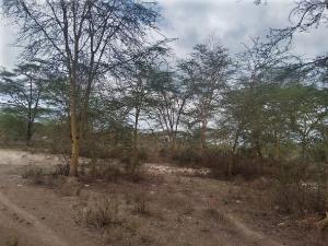 Land for sale Gilgil Nakuru