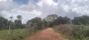 Land for sale Malindi Kilifi