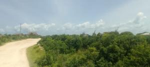 Land for sale Watamu Watamu