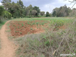 Land for sale Nanyuki Nanyuki