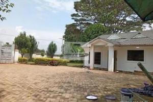 Houses for rent Ngumo Estate, Thogoto Kikuyu
