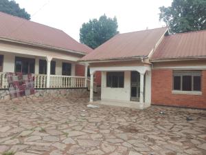 2 bedroom Bungalow Apartment for rent Naalya road  Kampala Central Kampala Central