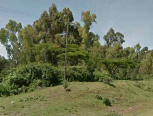Land for sale Ndaragwa Nyandarua