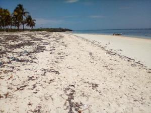 Land for sale Kikambala Kilifi