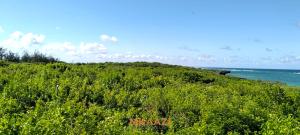 Land for sale Kilifi North Kilifi